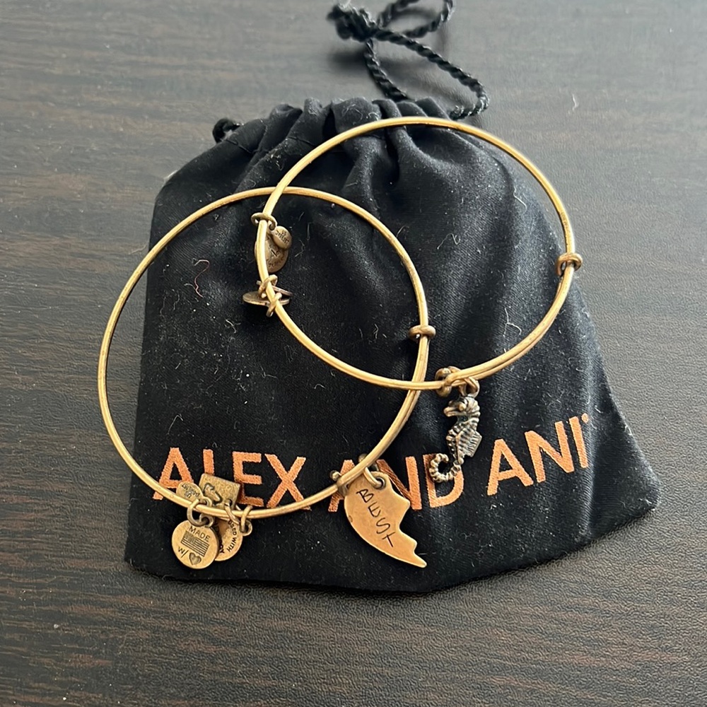 2 Alex & Ani bangles